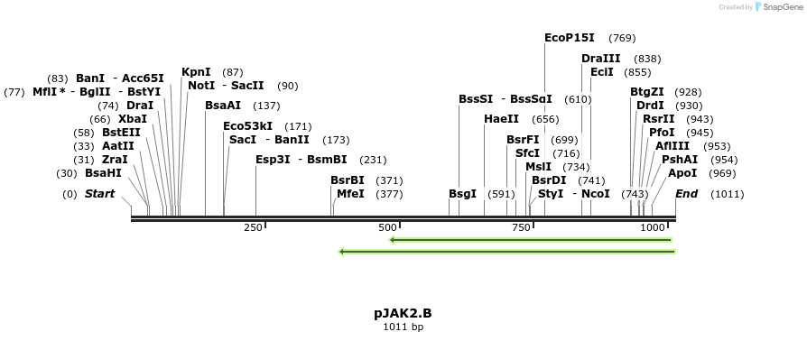 72436_map