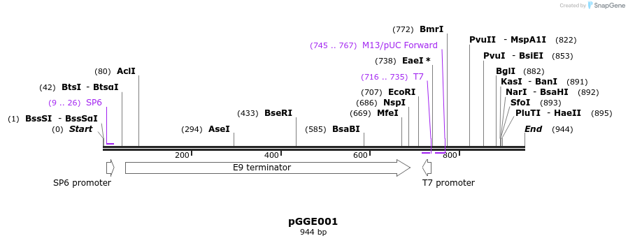 72437_map