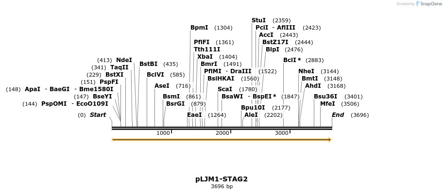 72448_map