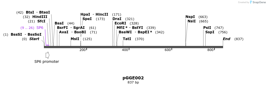 72449_map