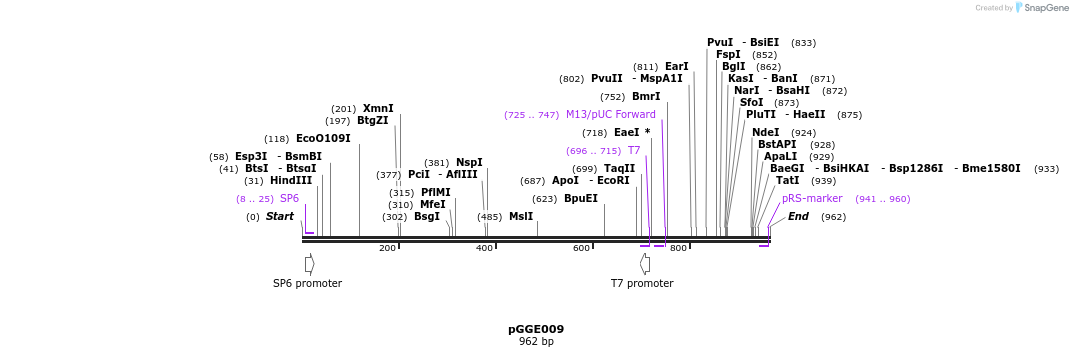 72450_map