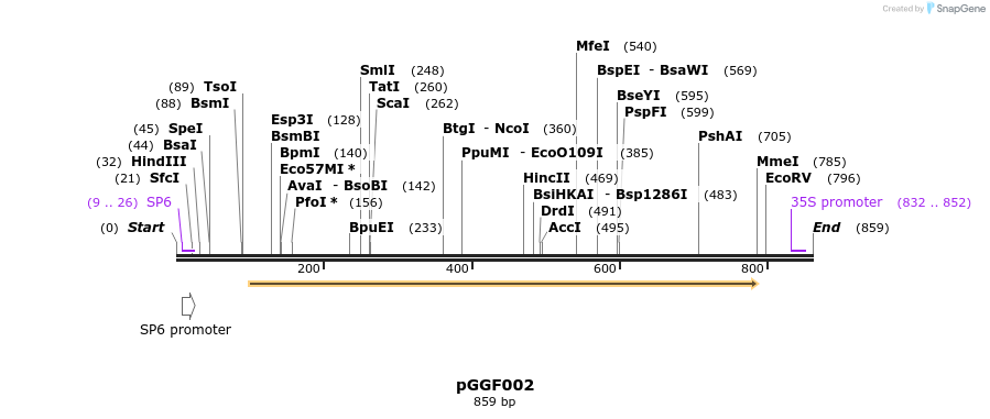 72452_map