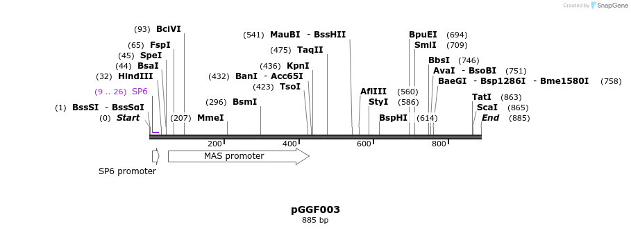 72453_map