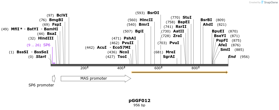 72458_map