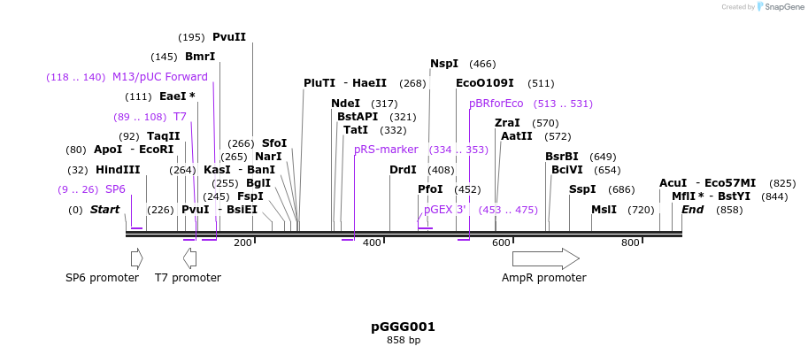 72459_map