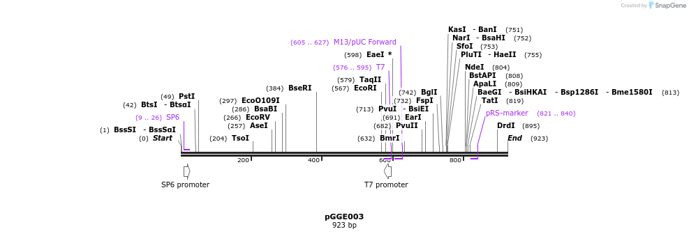 72462_map