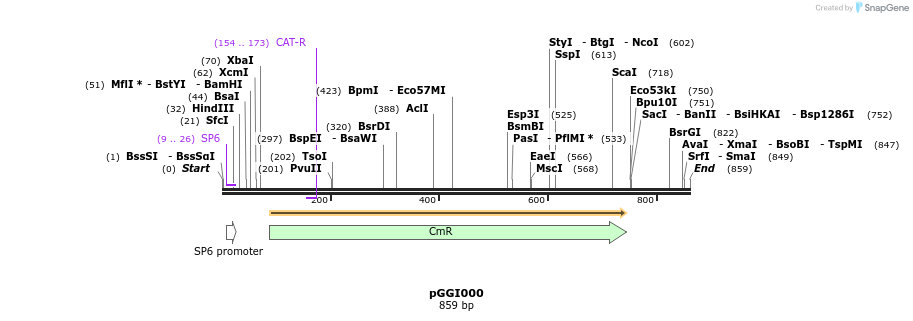 72472_map