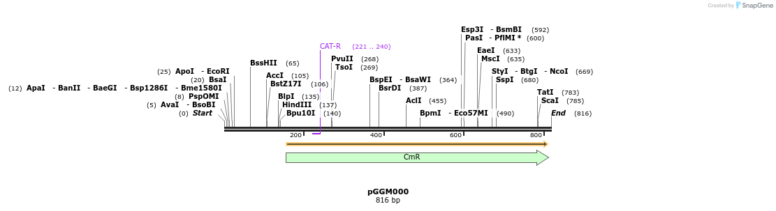 72476_map