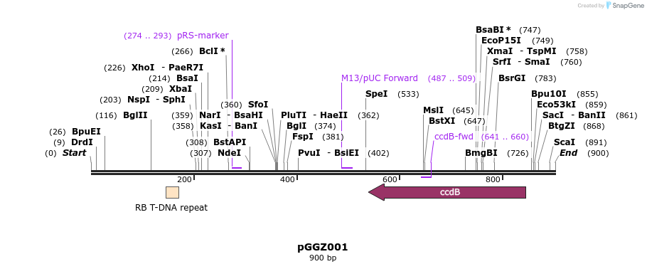 72478_map