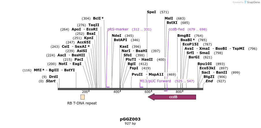 72479_map