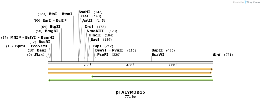 72481_map