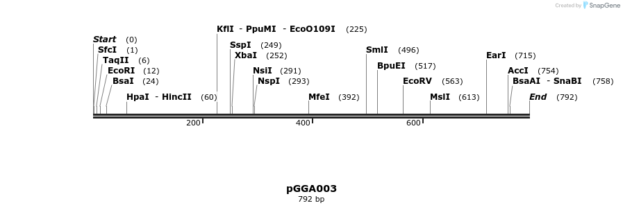 72482_map