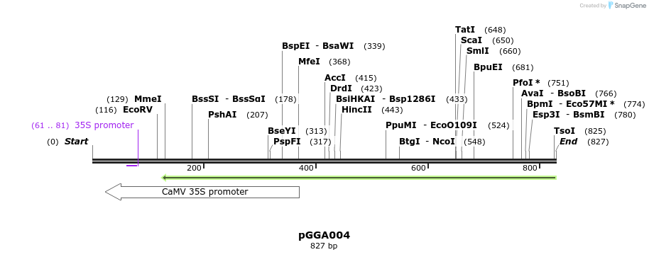 72483_map