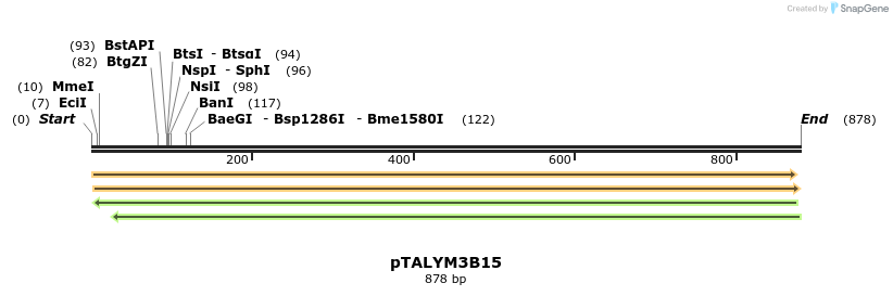 72486_map