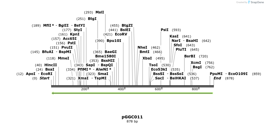 72488_map
