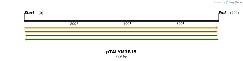 72489_map