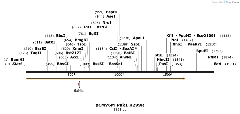 7249_map