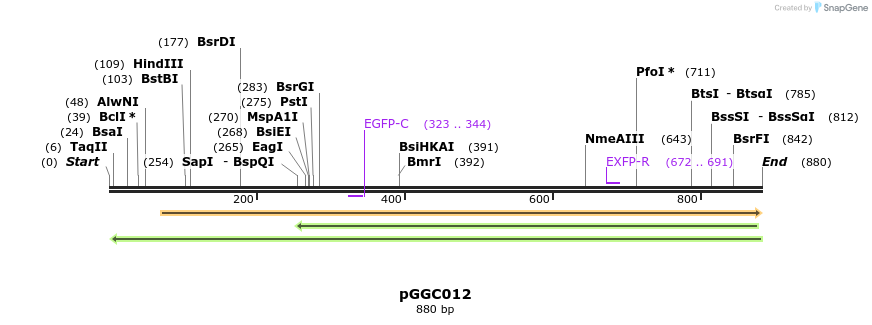 72503_map