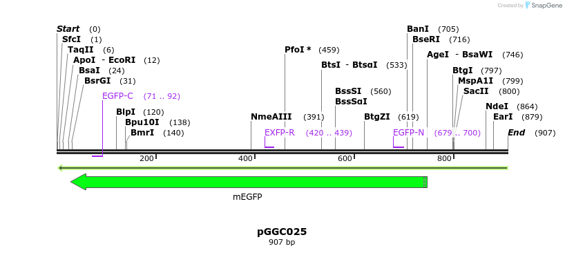 72504_map