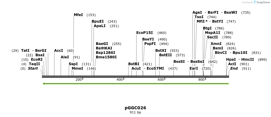 72505_map