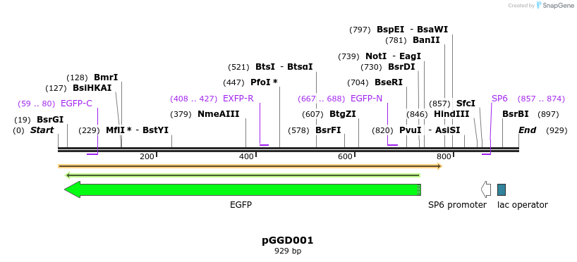 72507_map