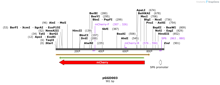 72508_map