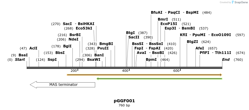 72511_map