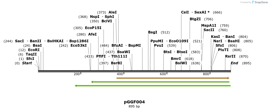 72516_map