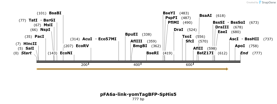 72519_map
