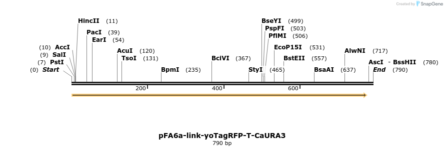72521_map
