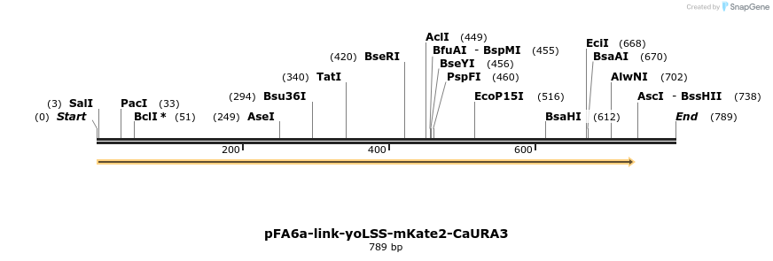 72523_map