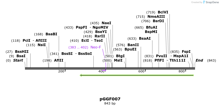 72526_map