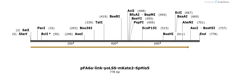 72532_map