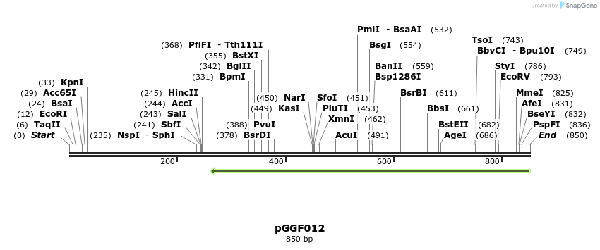 72533_map
