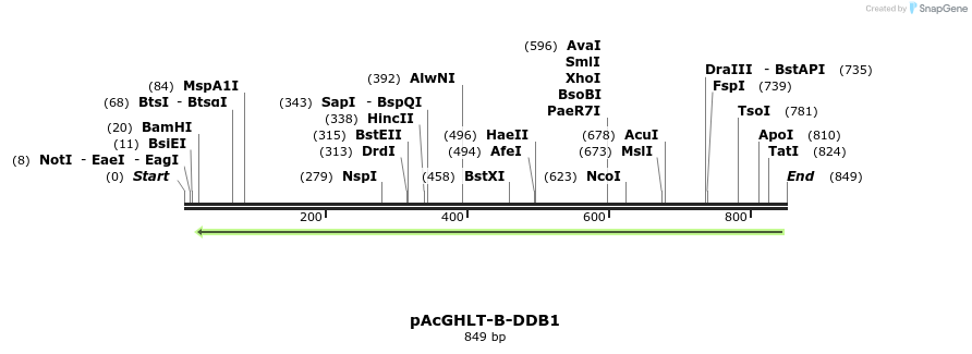 72535_map