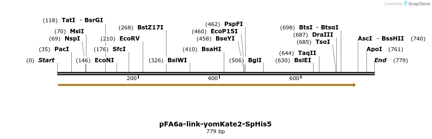 72537_map