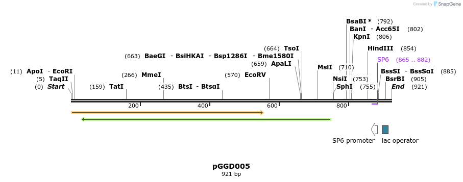 72538_map