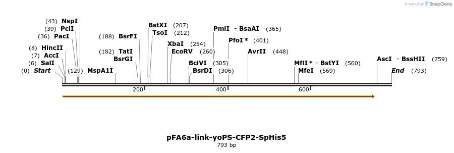 72541_map