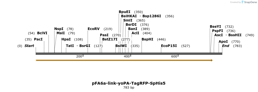 72543_map
