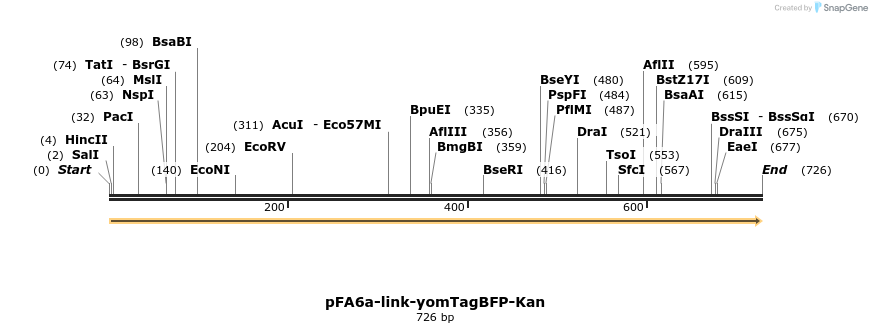 72546_map
