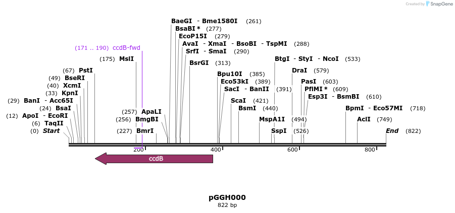 72552_map