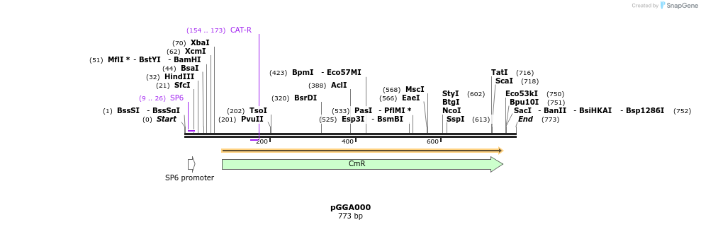 72556_map