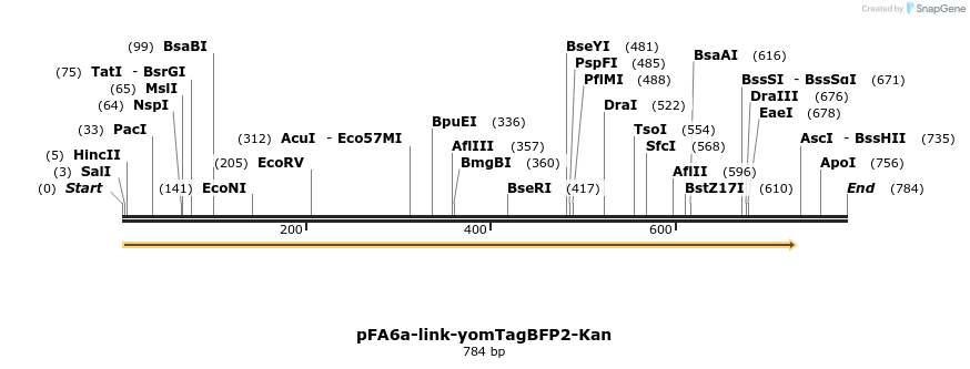 72558_map