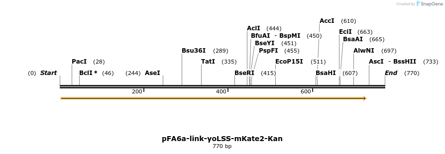 72561_map