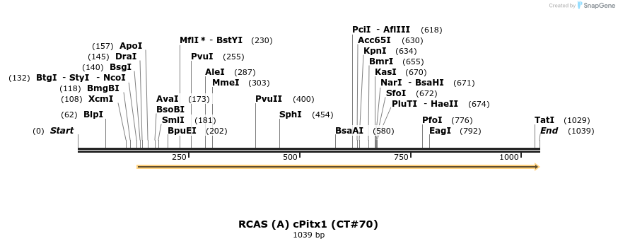 72564_map