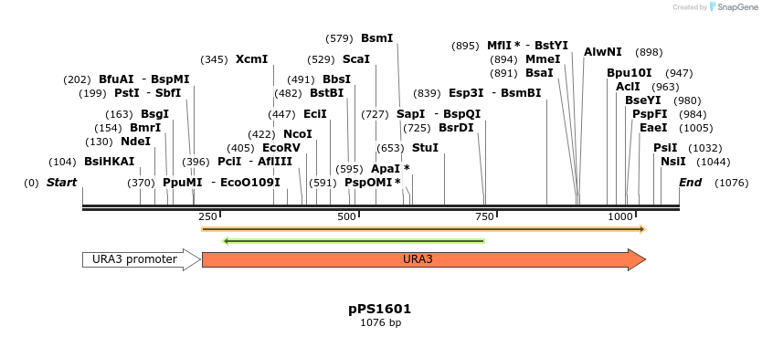 72565_map