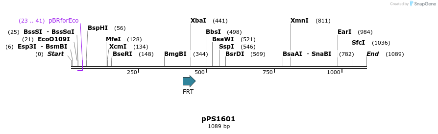 72566_map