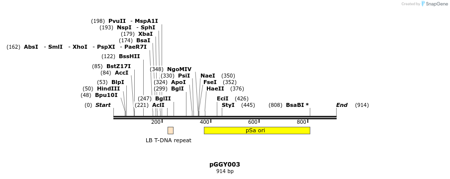 72571_map