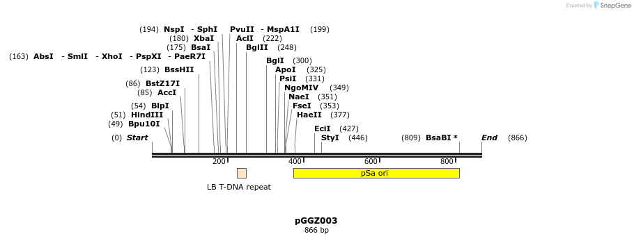 72574_map