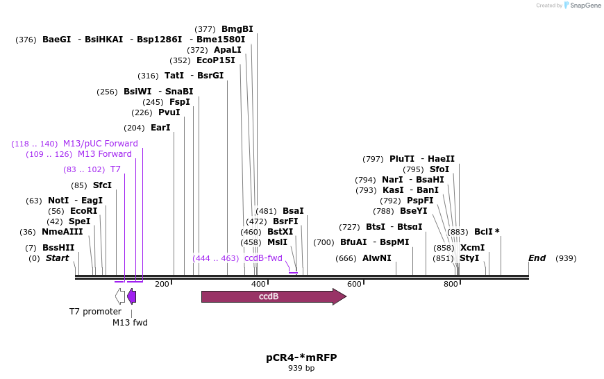 72576_map